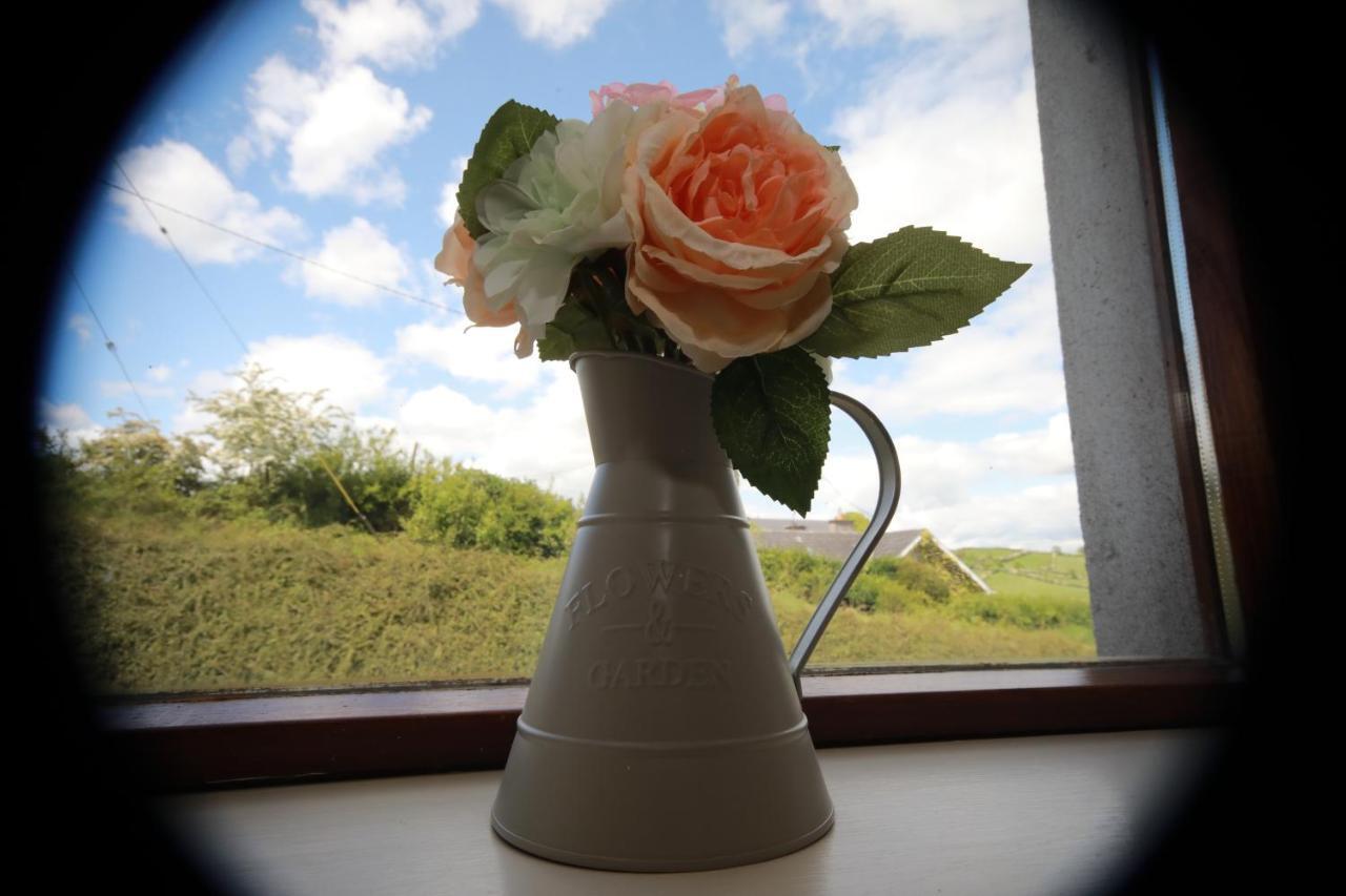 Alices Loft & Cottages Castleblayney Ngoại thất bức ảnh